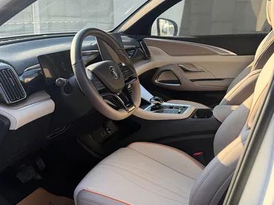 2024 BYD Song Pro New Energy Glory Edition DM-i 71KM Pilot, фото 4, лот 10273424