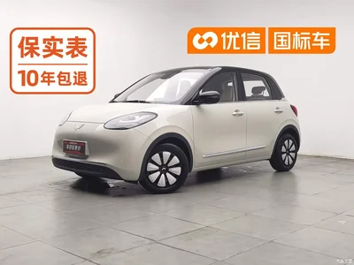 2023 Wuling Motors Wuling Bingo 203km Comfort Version, фото 1, лот 10367328
