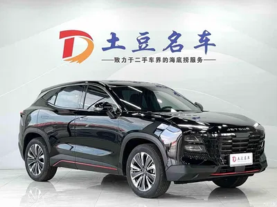 2023 Jetour Dasheng 1.5T DCT Starlight PRO+, фото 3, лот 10827003