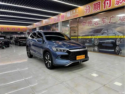 2024 BYD Song Pro New Energy Glory Edition DM-i 71KM Pilot, фото 3, лот 10274766
