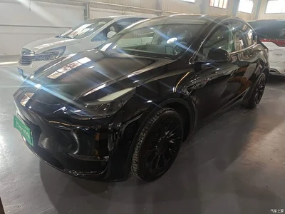 2021 Tesla Model Y Standard Range Rear-Wheel Drive, фото 2, лот 10388144