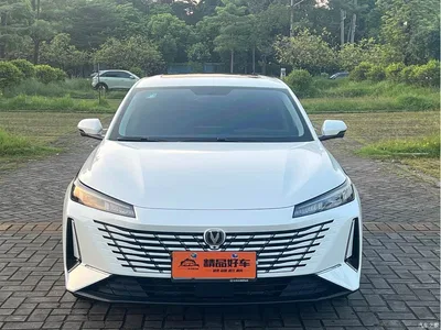 2025 Changan Eado Blue Whale 1.5T 500Bar Flagship, фото 2, лот 10842447