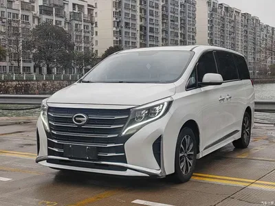 2023 GAC Trumpchi Trumpchi M8 Leading Series 390T Luxury Edition, фото 1, лот 10418997