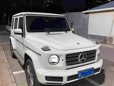 2019 Mercedes-Benz G-Class Facelift G 500, фото 1, лот 10587670
