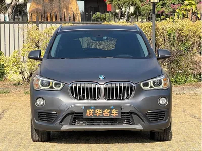 2018 BMW X1 sDrive20Li Leading Model, фото 3, лот 10466485