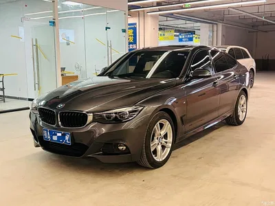 2019 BMW 3 Series GT 320i M Sport Package, фото 1, лот 11214910