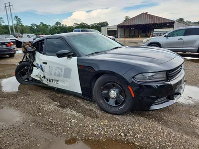 2019 DODGE CHARGER POLICE, фото 4, лот 10796754