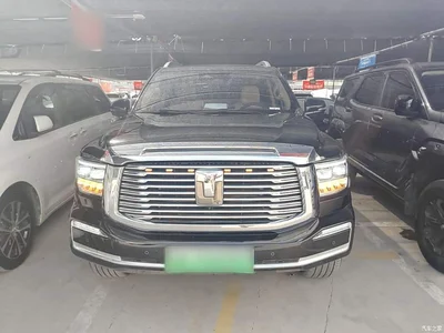 2024 Tank 500 EV Hi4-T, фото 3, лот 10829670