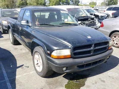 1998 DODGE DAKOTA, фото 1, лот 10973187