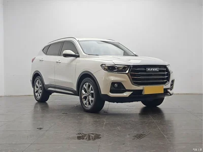 2021 Haval H6 Model National Trend Edition 1.5T Auto Champion, фото 2, лот 10395125