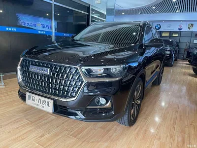 2023 Haval H6 National Trend Edition 1.5T Automatic Champion, фото 1, лот 10306039