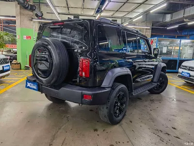 2021 Tank 300 Off-road Edition 2.0T Challenger, фото 4, лот 10344573