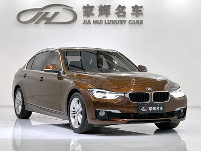 2016 BMW 3 Series 320Li Fashion Model, фото 3, лот 11179715