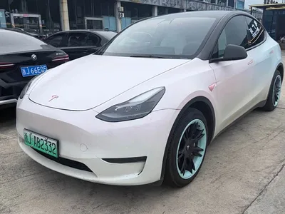 2021 Tesla Model Y Standard Range Rear-Wheel Drive, фото 1, лот 11565585