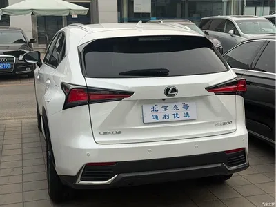 2020 Lexus NX 200 AWD F Sport China V, фото 3, лот 10313688