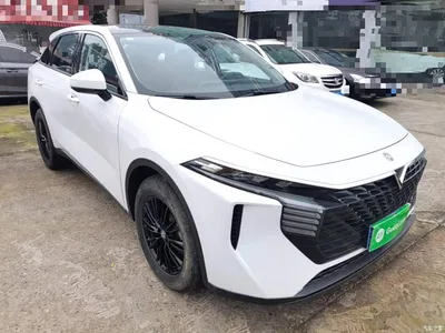 2023 Venucia Big V 260T Idol Edition Pro, фото 4, лот 11218418