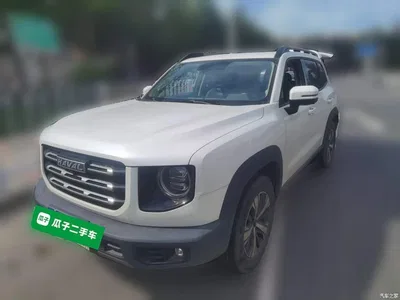 2021 Haval Big Dog 1.5T DCT 2WD Labrador Edition, фото 1, лот 11136845