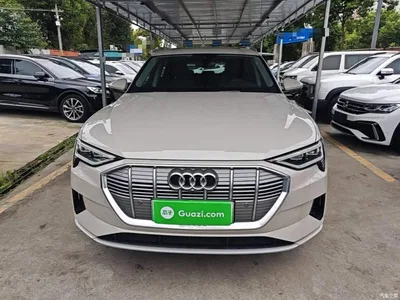 2019 Audi e-tron (Import) 55 quattro Fashion, фото 3, лот 10388686