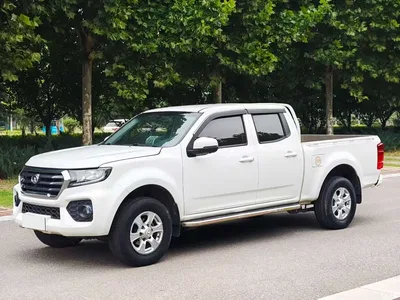 2020 Great Wall Fengjun 7 Model 2.0T Diesel 4WD New Champion Edition Official Large Double Cab GW4D20M, фото 1, лот 11146754