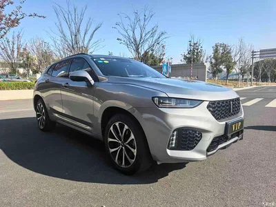 2017 WEY VV7 2.0T Super Luxury, фото 2, лот 10451645