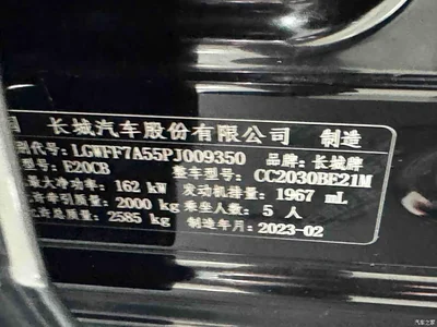 2023 Tank 300 Off-Road Edition 2.0T Conqueror, фото 4, лот 10345201