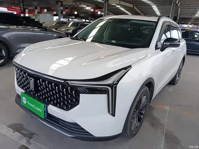 2021 Besturn Bestune T55 1.5T Auto LOHAS Luxury Edition, фото 1, лот 10409505