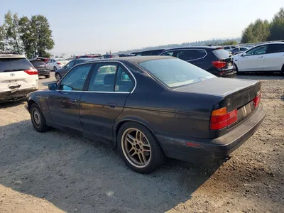 1995 BMW 525 I AUTOMATIC, фото 2, лот 10972274