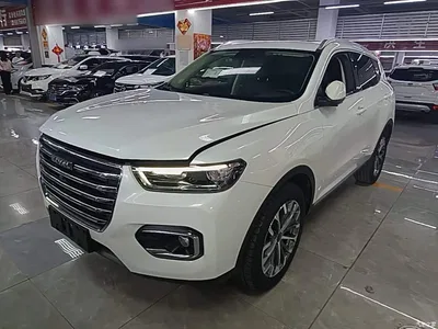 2020 Haval H6 1.5GDIT Automatic Platinum Champion Edition, фото 2, лот 10284243