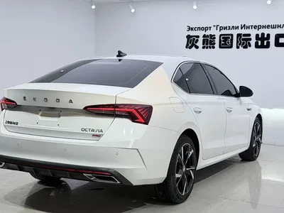 2022 Škoda Octavia PRO TSI280 Luxury Edition, фото 4, лот 10349559