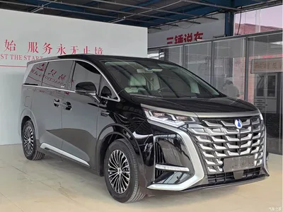 2025 Denza D9 Model DM-i Smart Drive Edition 1100 Luxury, фото 3, лот 10346262