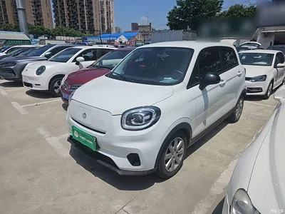 2022 Leapmotor T03 Jade Edition, фото 1, лот 10442485