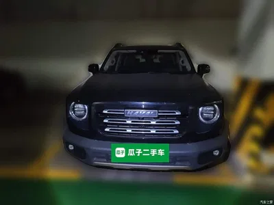 2022 Haval Big Dog 1.5T DCT FWD Border Collie Edition, фото 2, лот 11140375