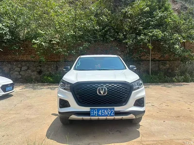 2024 Changan F70 Blue Whale Gasoline 2.0T Manual 2WD Long Box Plateau Custom Edition, фото 2, лот 11172081