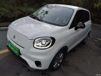 2022 Leapmotor T03 Crystal Shine Edition, фото 1, лот 11569616
