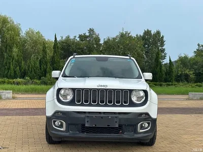 2016 Jeep Renegade 1.4T Automatic Power Edition, фото 2, лот 10398948