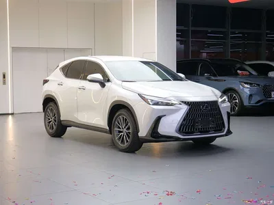 2023 Lexus NX 260 FWD Dynamic Edition, фото 3, лот 10312646