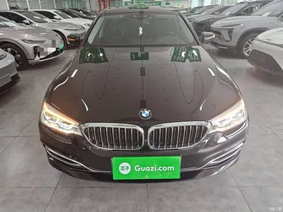 2020 BMW 5 Series New Energy 530Le Range Upgrade Pioneer Edition, фото 3, лот 10474131