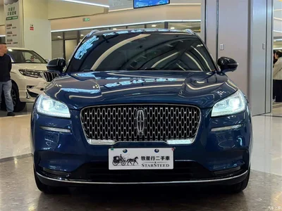 2020 Lincoln Adventurer 2.0T AWD Premium Edition, фото 2, лот 10357670