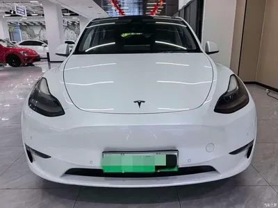 2021 Tesla Model Y Standard Range Rear-Wheel Drive, фото 2, лот 10442872