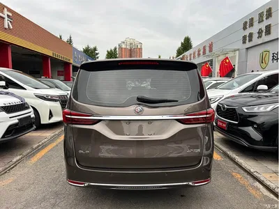 2023 Buick GL8 Model Land Business Class Comfort, фото 4, лот 10253006