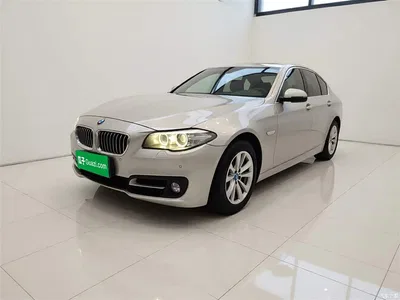 2014 BMW 5 Series (Import) 520i Classic, фото 2, лот 10474481