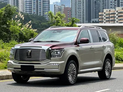 2023 Tank 500 3.0T Special Custom Edition (5-seater), фото 1, лот 10344359