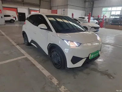 2025 BYD Seagull Smart Drive Edition 305km Vitality Version, фото 4, лот 10262977