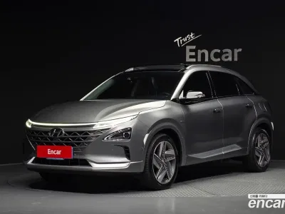 2021 Hyundai Nexo Premium, фото 1, лот 10221271