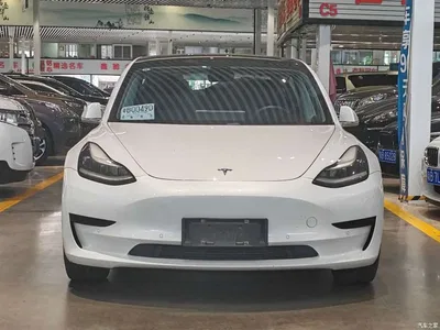 2020 Tesla Model 3 Standard Range Rear-Wheel Drive Upgrade, фото 2, лот 10774573
