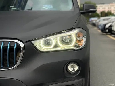 2018 BMW X1 New Energy xDrive25Le Luxury Model, фото 3, лот 11513642