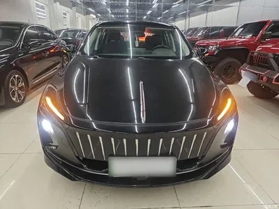 2023 Hongqi E-QM5 Facelift Basic Travel Edition, фото 3, лот 10289425