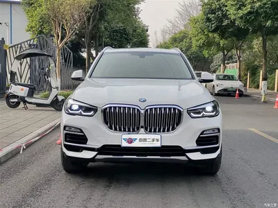 2019 BMW X5 (Import) xDrive40i M Sport Package, фото 2, лот 10412580