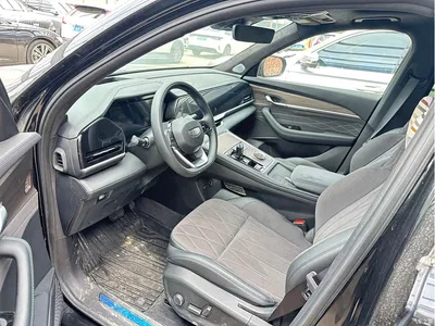 2025 Geely Xingyue L Oriental Glory 2.0TD Automatic Star Collector Edition, фото 4, лот 10302461