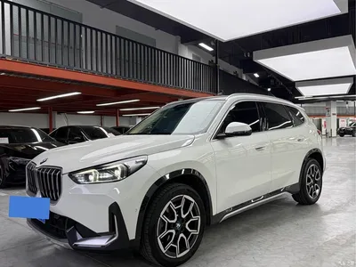 2025 BMW X1 sDrive25Li M Sport Package, фото 1, лот 11280051